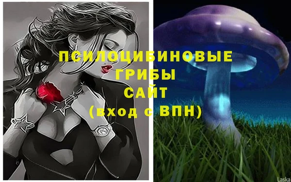 кокаин Ельня