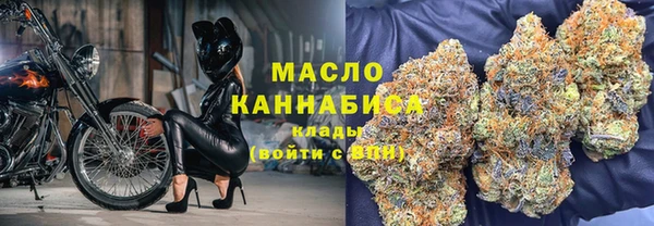сатива Заводоуковск