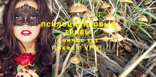 сатива Заводоуковск