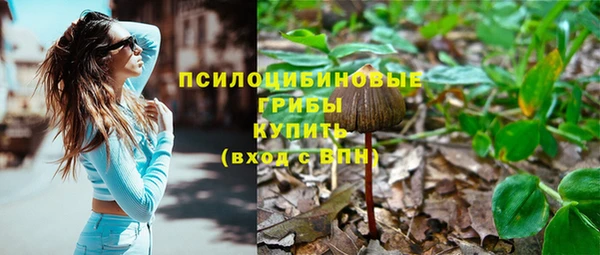 сатива Заводоуковск