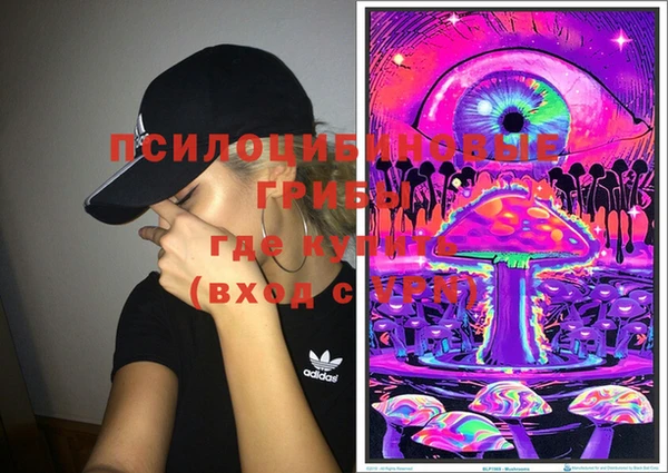 дживик Елабуга