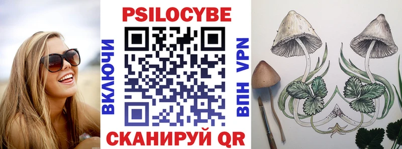 Псилоцибиновые грибы Magic Shrooms  Братск 