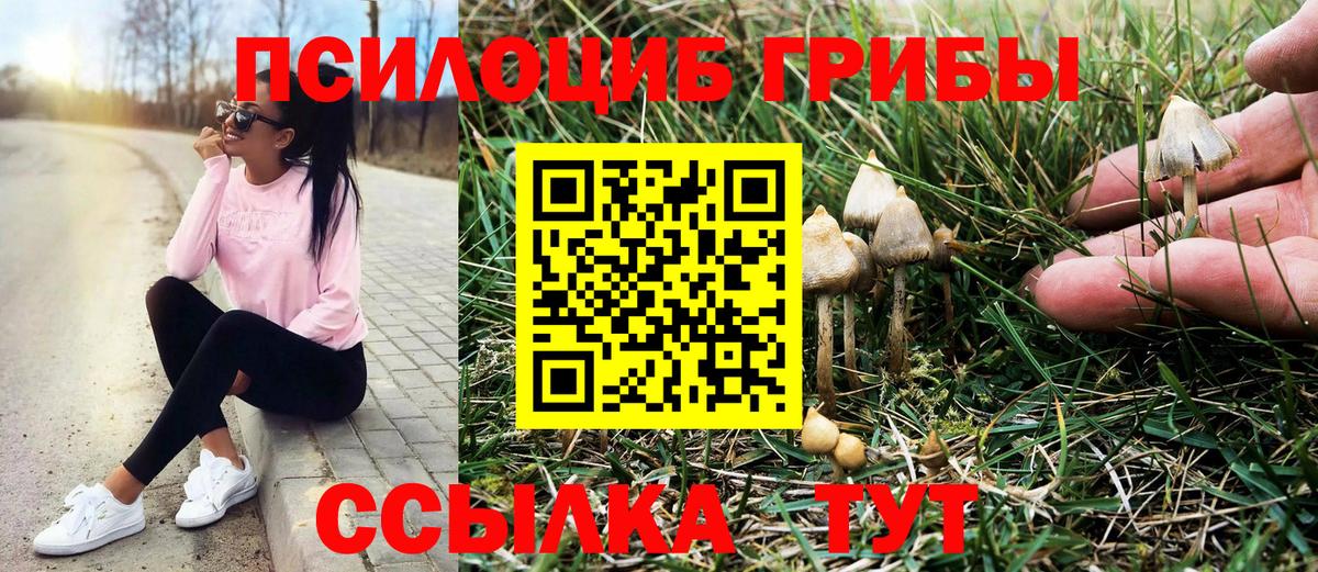 Псилоцибиновые грибы MAGIC MUSHROOMS Братск