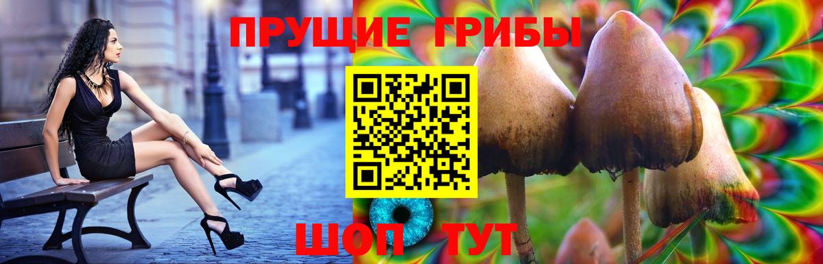 Галлюциногенные грибы Cubensis Братск